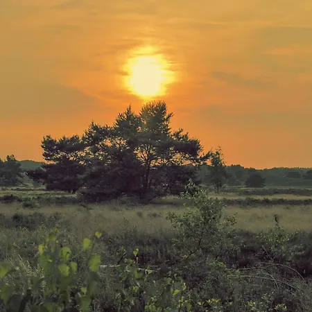 Casa de Férias Vlinder Veluwe Nunspeet