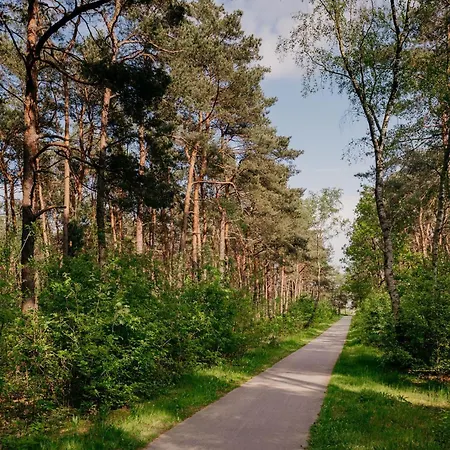 Vlinder Veluwe Holiday home