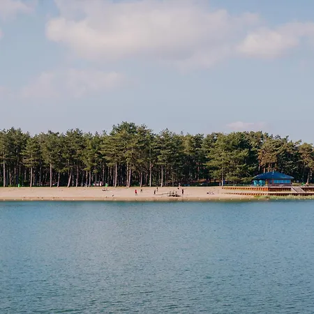 Vlinder Veluwe