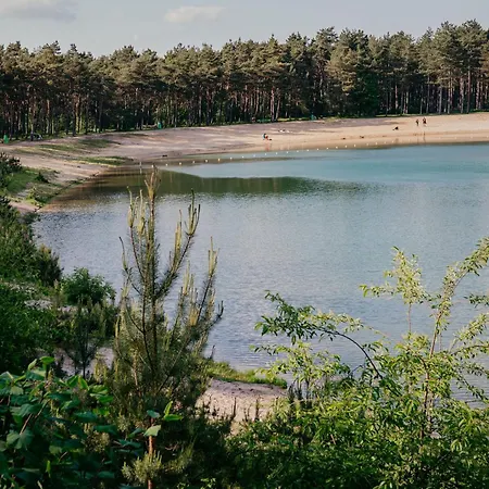 Vlinder Veluwe Holiday home Nunspeet